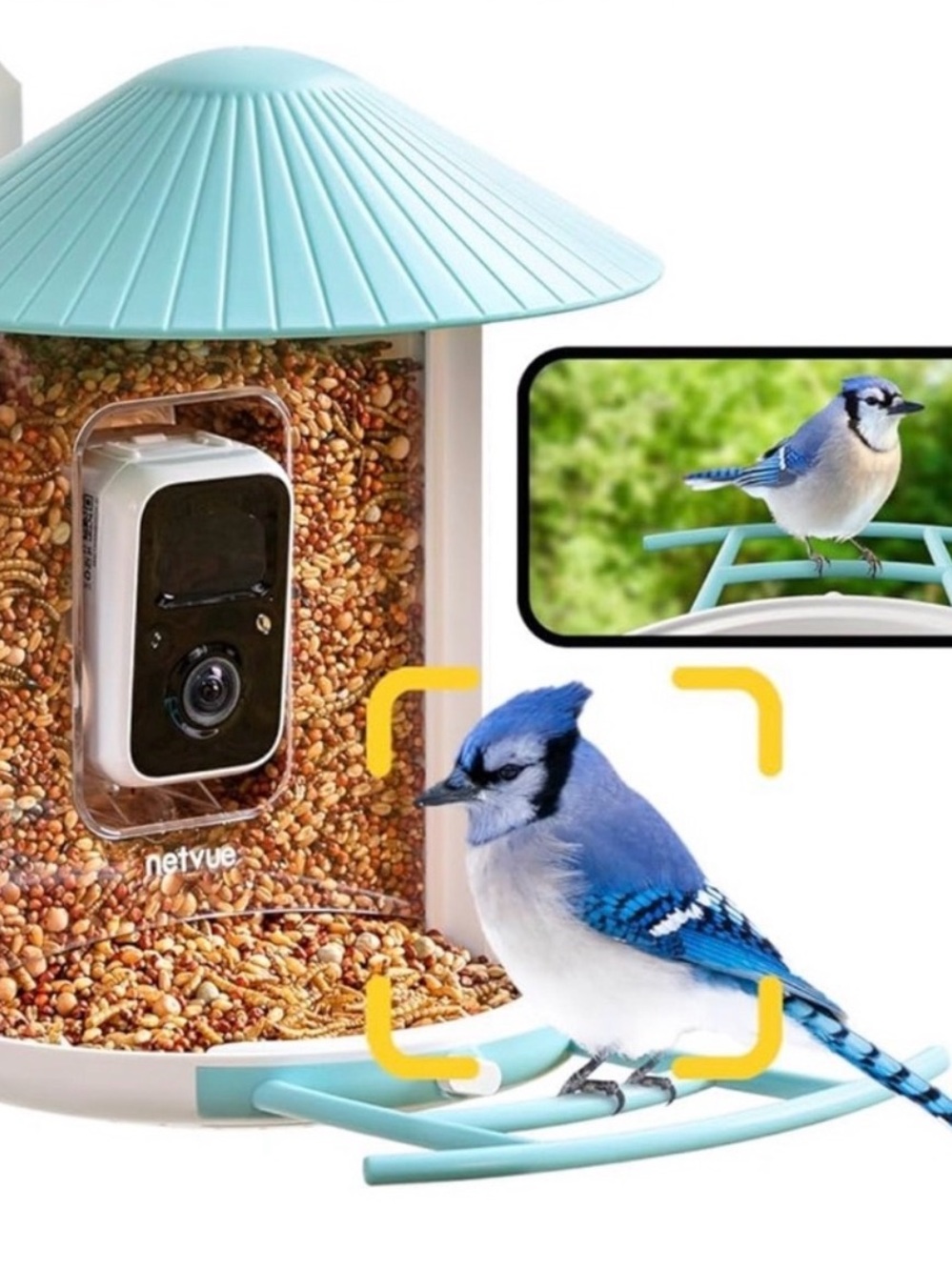 Birdfy Feeder - Limited Gift Set | Smart Bird Feeder with Camera